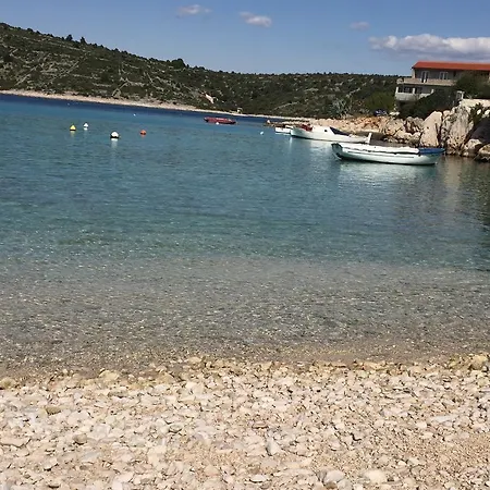Zlata Moga *