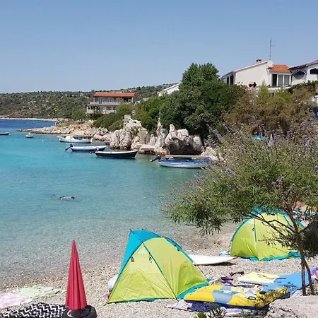 Zlata Moga *