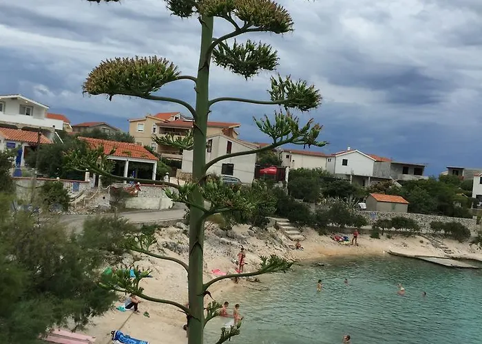 Zlata Moga דירה *